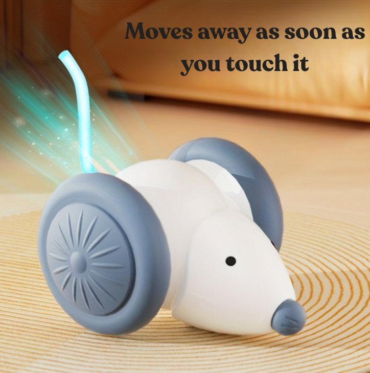 Automatic Cat Toy Mouse - Self-Rolling - USB Rechargeable