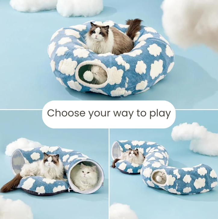 Peekaboo Tunnel  Cat Bed