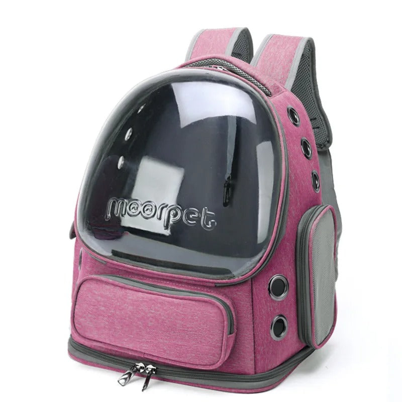 Transparent Cat Travel Backpack