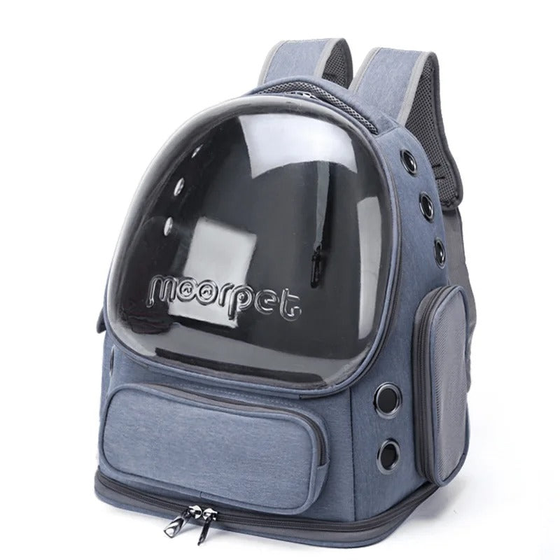 Transparent Cat Travel Backpack