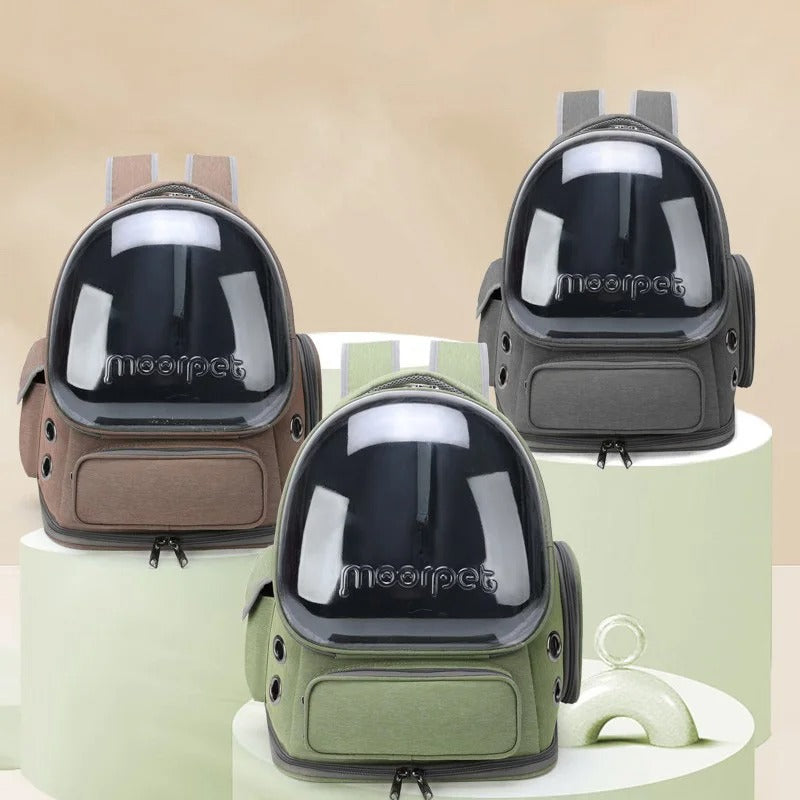 Transparent Cat Travel Backpack