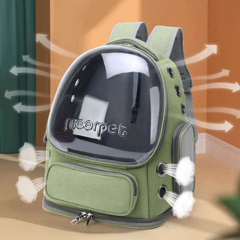 Transparent Cat Travel Backpack