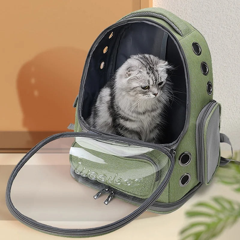 Transparent Cat Travel Backpack
