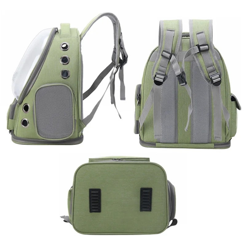 Transparent Cat Travel Backpack