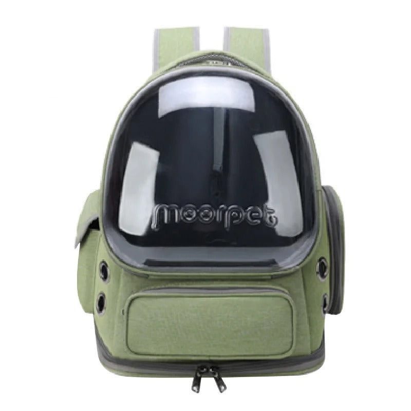 Transparent Cat Travel Backpack