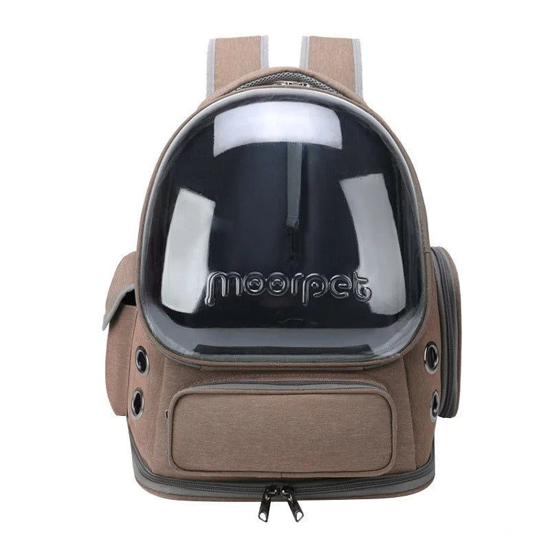 Transparent Cat Travel Backpack