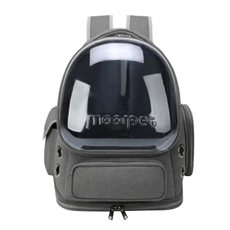 Transparent Cat Travel Backpack